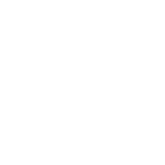 Kodalihart Labradors